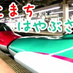 はやぶさ・こまち・新幹線・大宮駅